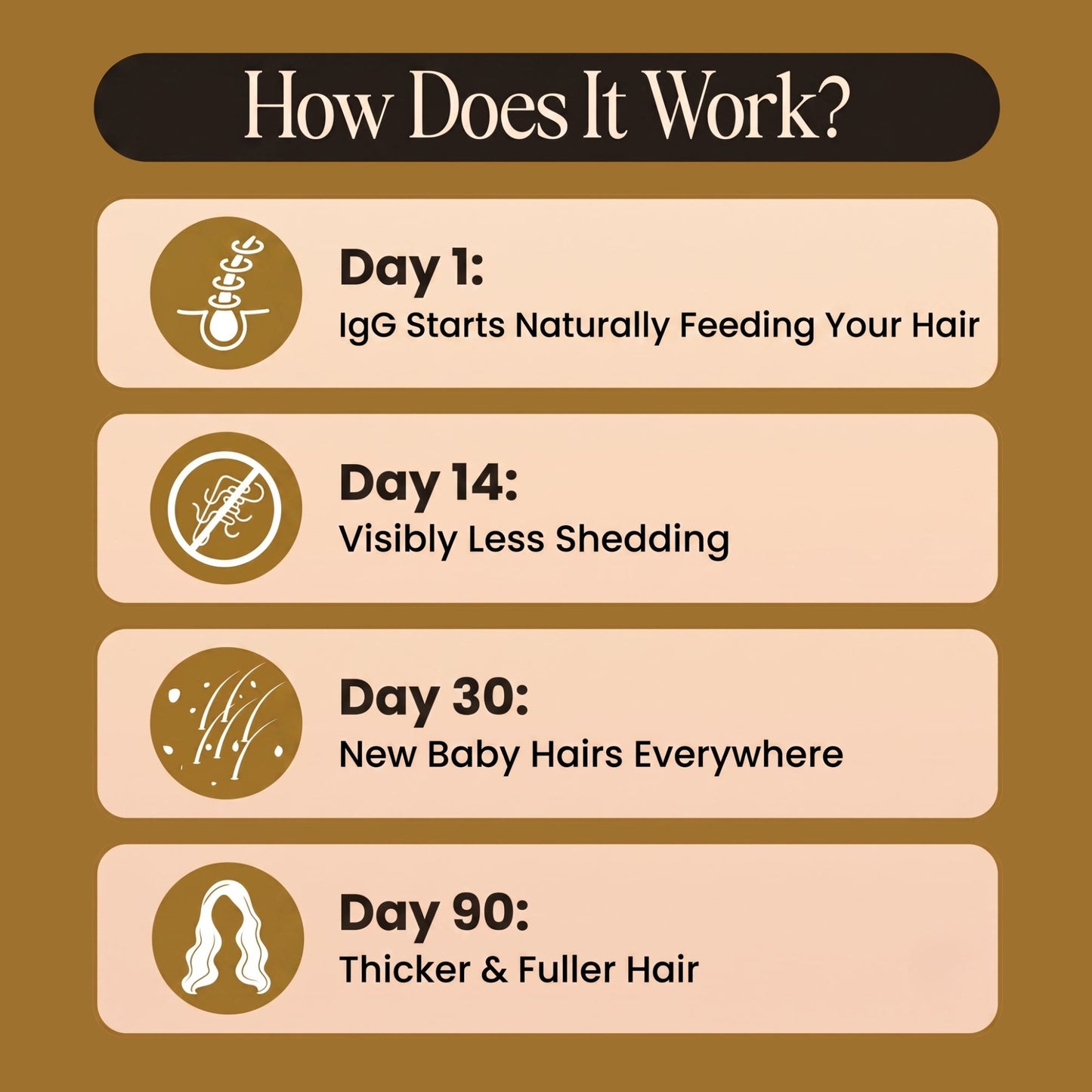 An infographic titled 'How Does It Work?' with four labeled stages for hair growth results: Day 1 IgG starts naturally feeding your hair, Day 14 visibly less shedding, Day 30 new baby hairs everywhere, and Day 90 thicker & fuller hair. The design uses a brown background with beige panels and simple icons.