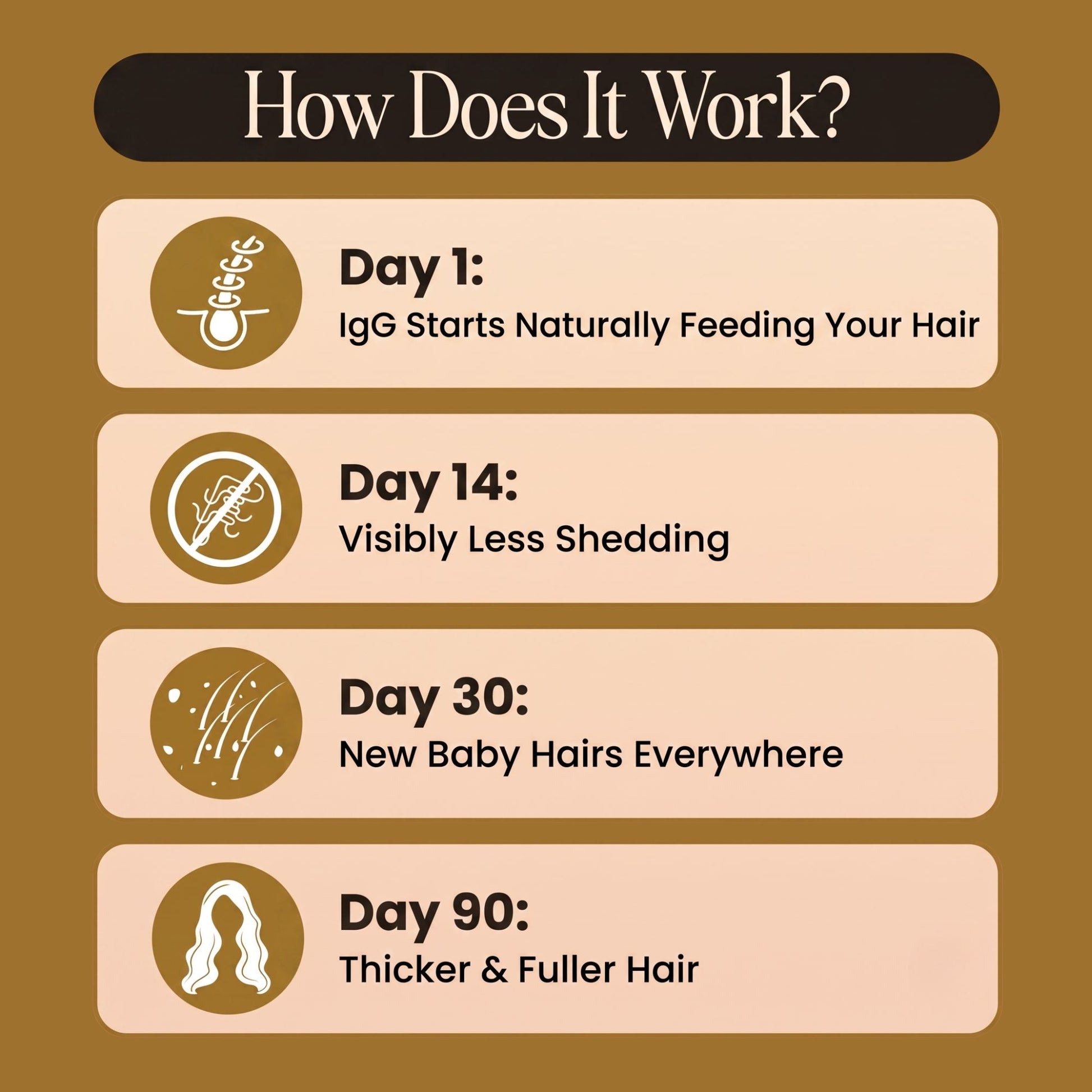 An infographic titled 'How Does It Work?' with four labeled stages for hair growth results: Day 1 IgG starts naturally feeding your hair, Day 14 visibly less shedding, Day 30 new baby hairs everywhere, and Day 90 thicker & fuller hair. The design uses a brown background with beige panels and simple icons.