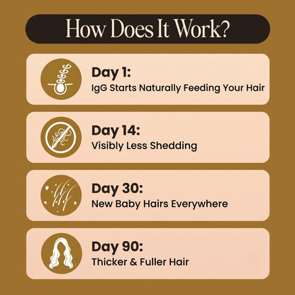An infographic titled 'How Does It Work?' with four labeled stages for hair growth results: Day 1 IgG starts naturally feeding your hair, Day 14 visibly less shedding, Day 30 new baby hairs everywhere, and Day 90 thicker & fuller hair. The design uses a brown background with beige panels and simple icons.